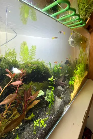 60X45X45 CMs Tank set with all accessories...