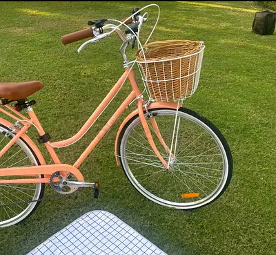 Reid Ladies Classic 7-Speed Vintage Bike | JVC