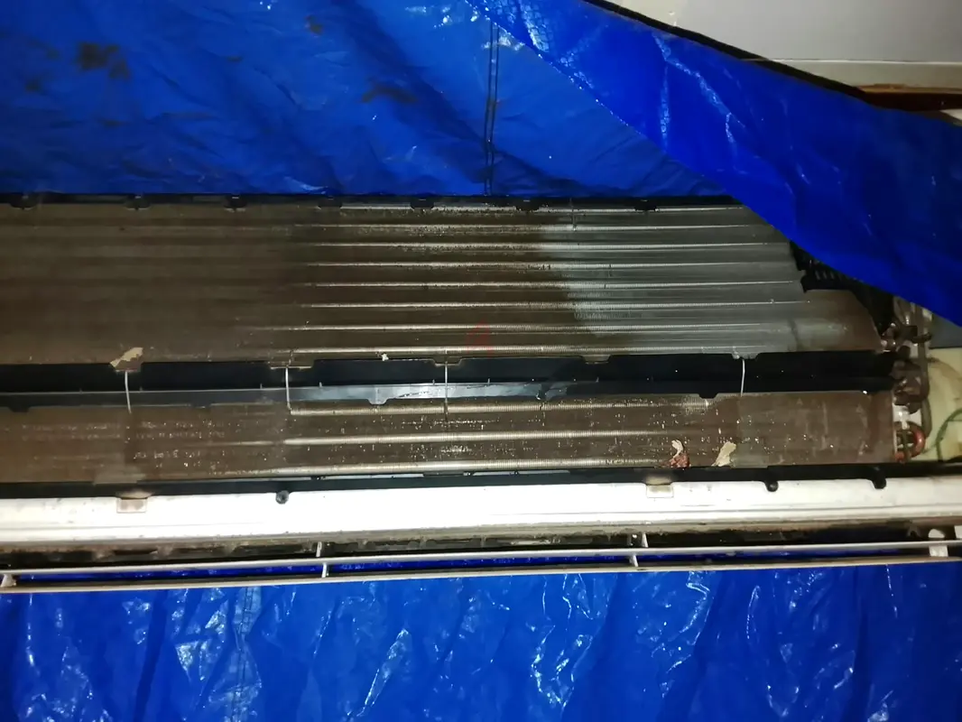 DPV_View_Image_2