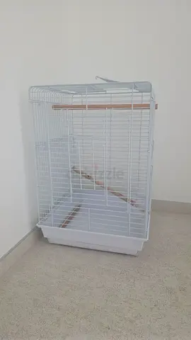 White metal bird cage with perches and removable tray - good condition