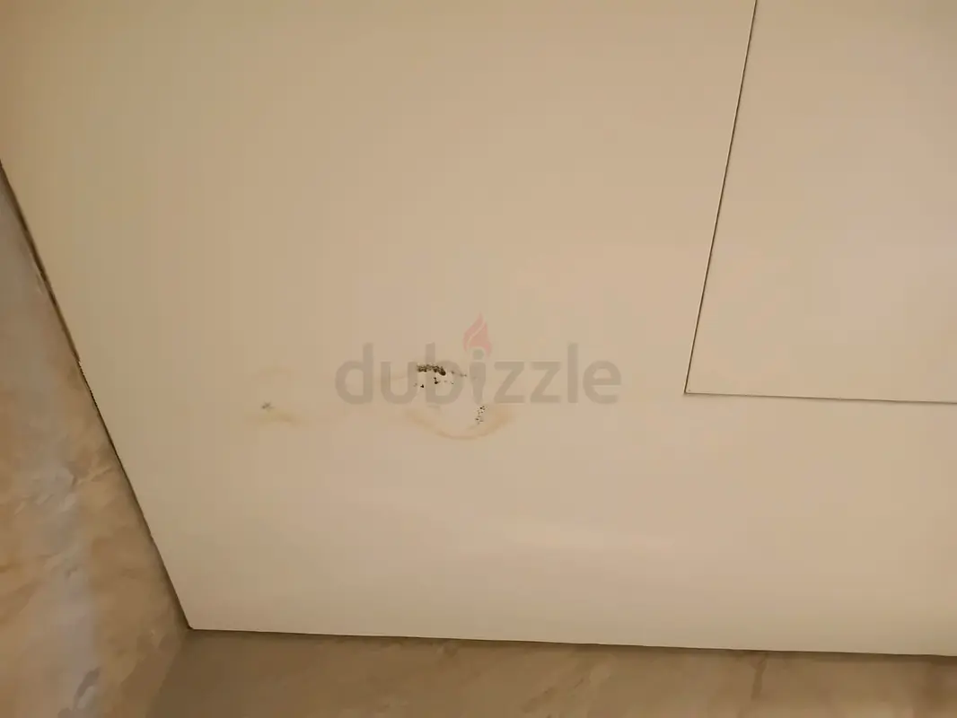 DPV_View_Image_2