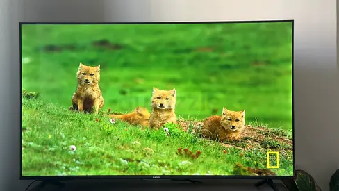 Xiaomi TV A 55" 2025 | Google TV | 4K Display | Dolby Audio, DTS-X, And DTS Virtual:X | Premium Meta