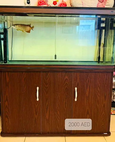 Fish tank
