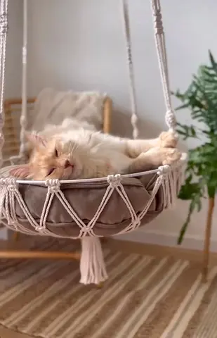 Cat hammock