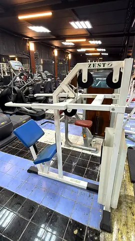 Zestz Seated Row / Back Machine - Sturdy Gym Equipment