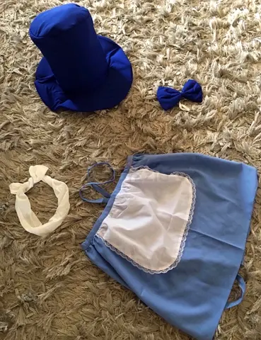 Costumes accessories adults