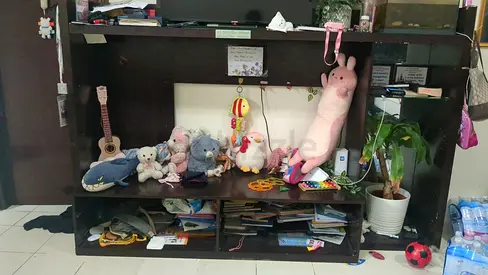 TV unit