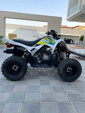 Yamaha Raptor 90 Electric start