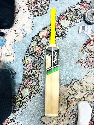 Cricket bat