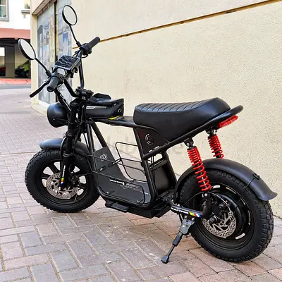 WINDHORSE D1 Electric Bike 800W Up to 50 km/h