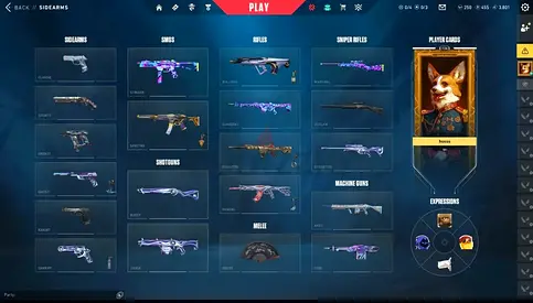 valorant acc (price negotiable)