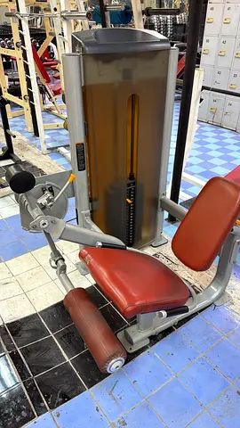 Seated Leg Extension and Curl Gym Machine - Commercial Grade