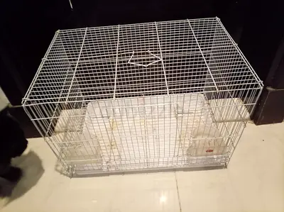 Used small animal / bird cage with feeders - good condition