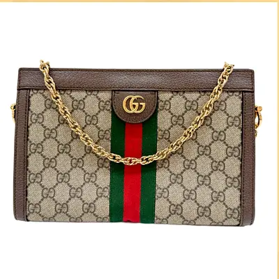 Gucci bag
