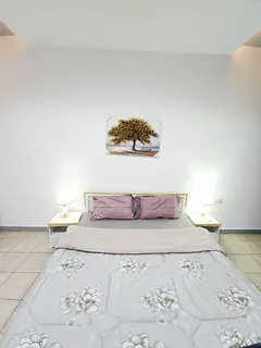 Ready To Move In