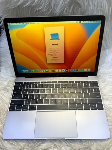 Apple MacBook 12-inch (2017) i5 16GB RAM 256SSD