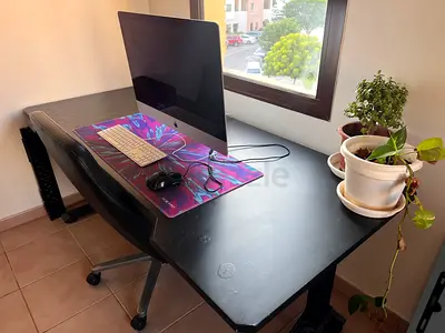 Ikea hight-adjustable work desk and leather chair