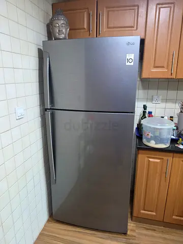 Lg 782 litre capacity fridge freezer