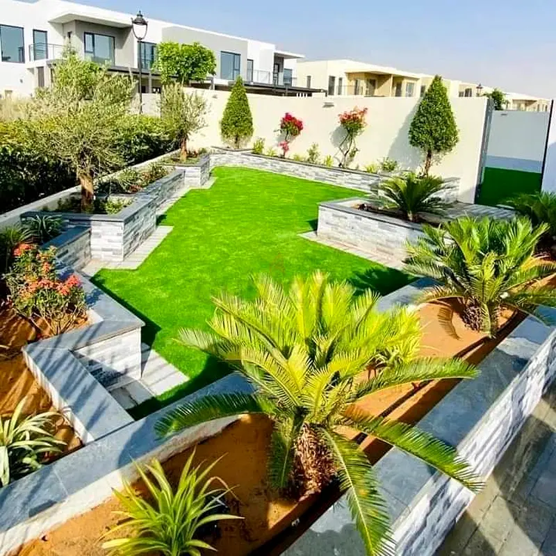 DPV_View_Image_3
