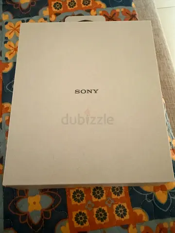 Sony headphones WH-CH520