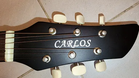 Carlos Acoustic Guitar - six strings, in mint condition
