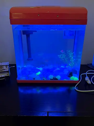Small LED Aquarium Tank with Filter,  Decorative Pebbles and cleaning kit