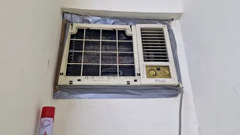 Ac and electrician. Plumber. Painting. Very less price