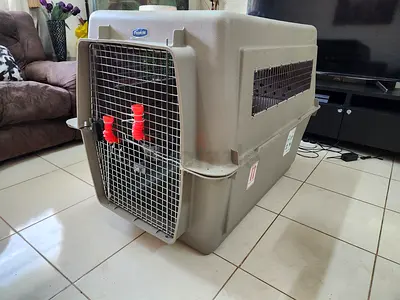 Dogs carriers giant size
