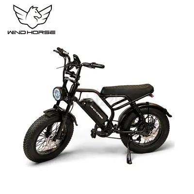 Wind Horse V8 Mini Electric Bike