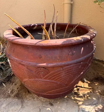 Gigantic Terracotta Garden Pot (1-Meter Diameter)