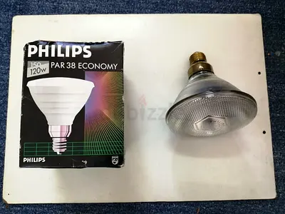Philips PAR38 120W Floodlight Bulb