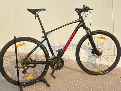 GIANT ROAM 29”