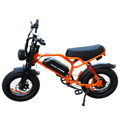 WIND HORSE V8 Mini Electric Bike 750W, Fat Tyres