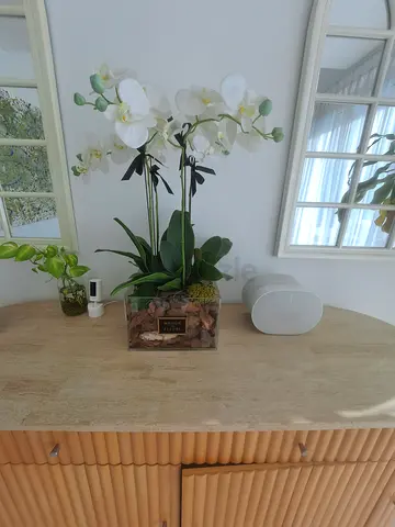 Maison des fleurs