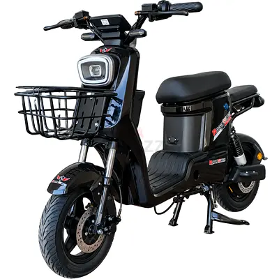 ED-01 Rohan Wings Two Seater E-Bike with Removable Lithium Battery | Max Speed 55 Km/h