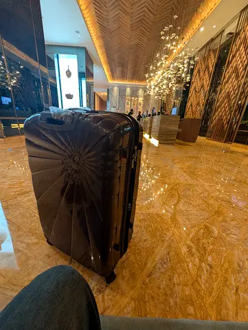 20-30kg (28") Hard Shell Spinner Suitcase - Large Travel Luggage