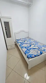 Partition for Rent