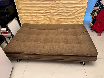 2-in-1 Sofa Cum Bed