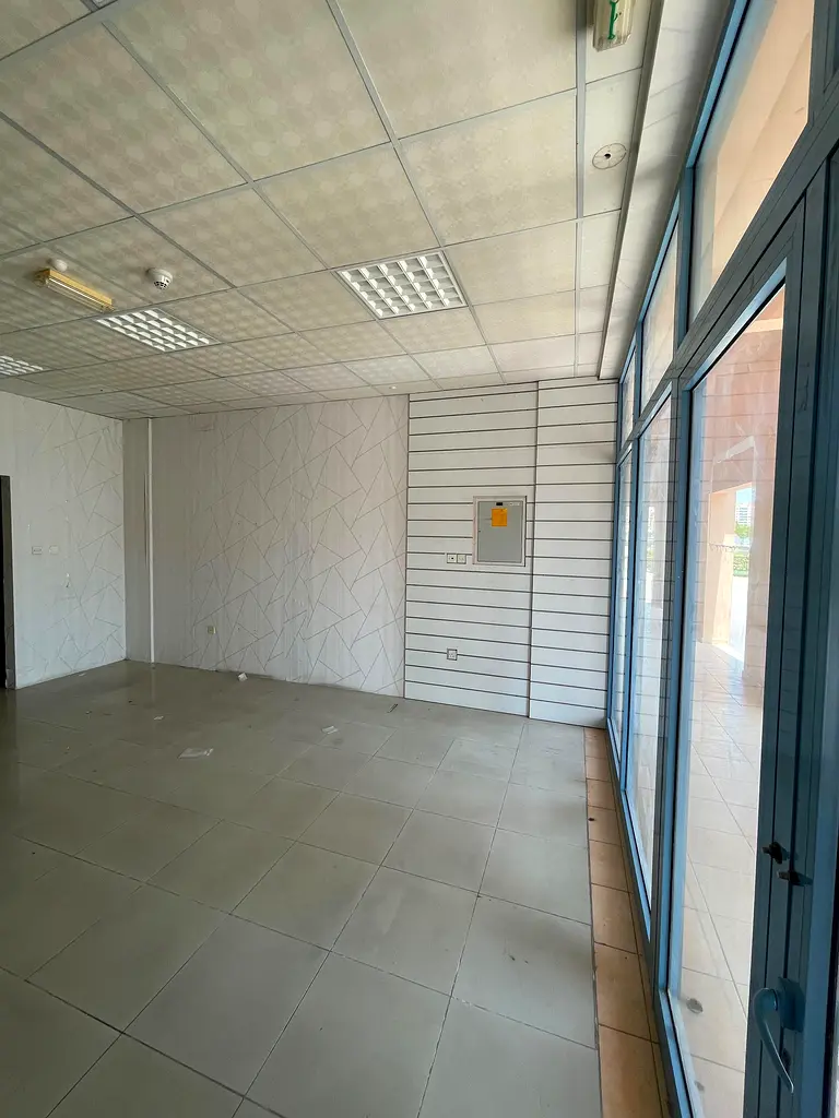 gallery-image