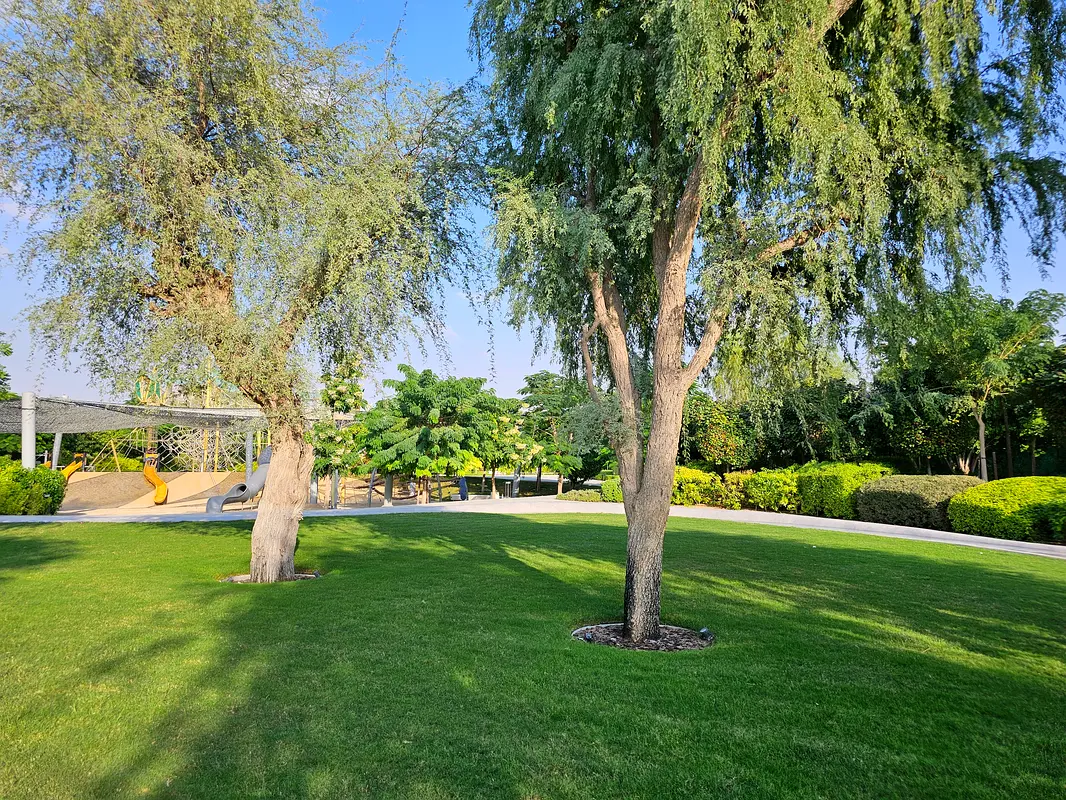 gallery-image