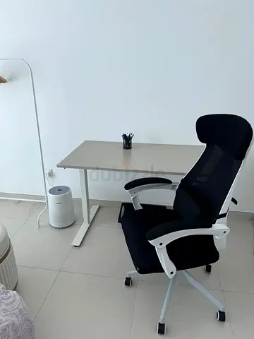 Ergonomic Black Mesh Executive Office Chair and Beige Standing Desk