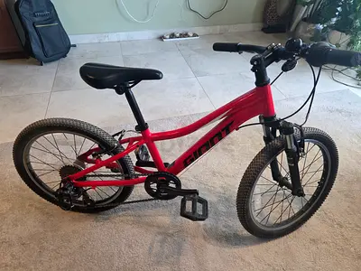 Giant red kids/teen mountain bike - excellent condition