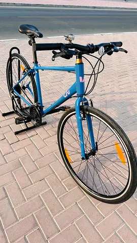 GIANT LIV HYBRID BIKE🇺🇸