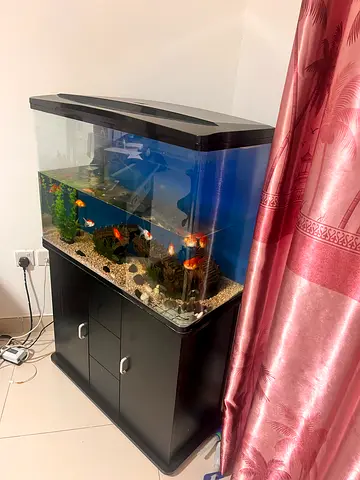 Aquarium with Stand, Filter and Accessories - Ready to Move