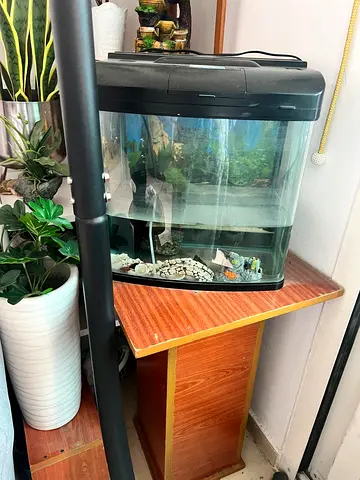 Small 20L Fish Aquarium with Hood and Filter - Good Condition