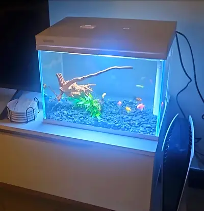 Fish tank with extras