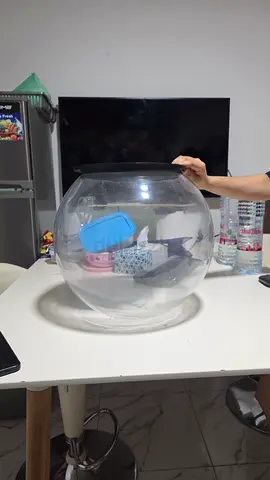 Fish Aquarium for sell