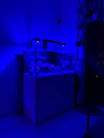 WaterBox Marine tank