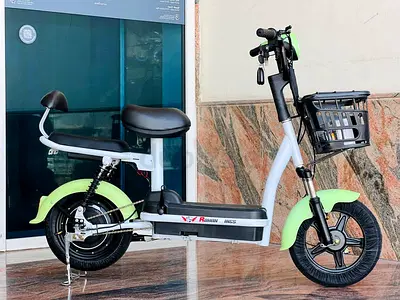 Rohan Wings LM14 2-Seater Electric Scooter