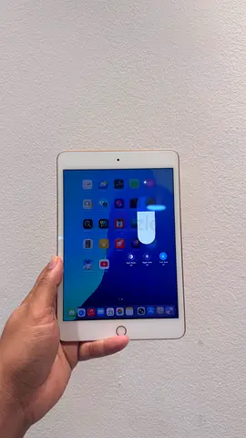 Apple IPad mini 5th generation 256GB Rose gold brand new